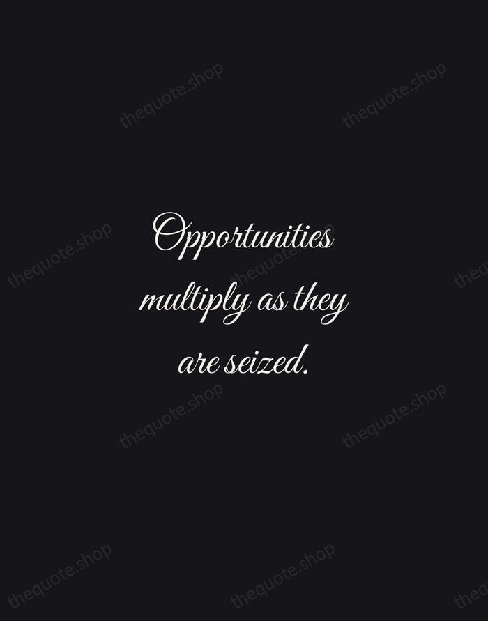 Opportunities multiply as they are seized. — Sun Tzu — Night Script