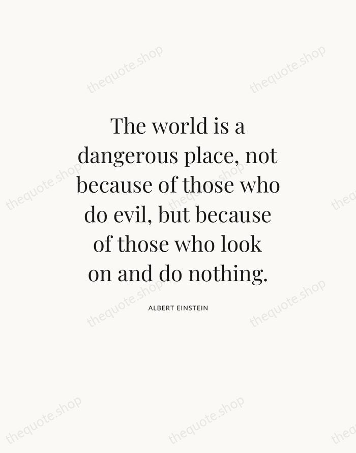 The world is a dangerous place, not because of those who do… — Albert Einstein — Statement Serif