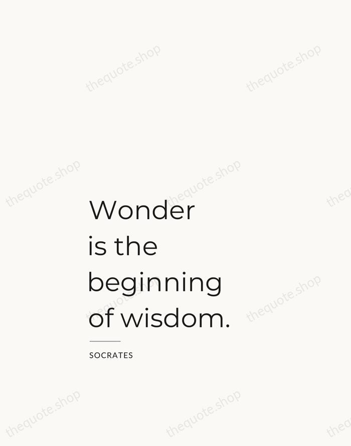 Wonder is the beginning of wisdom. — Socrates — Studio Left