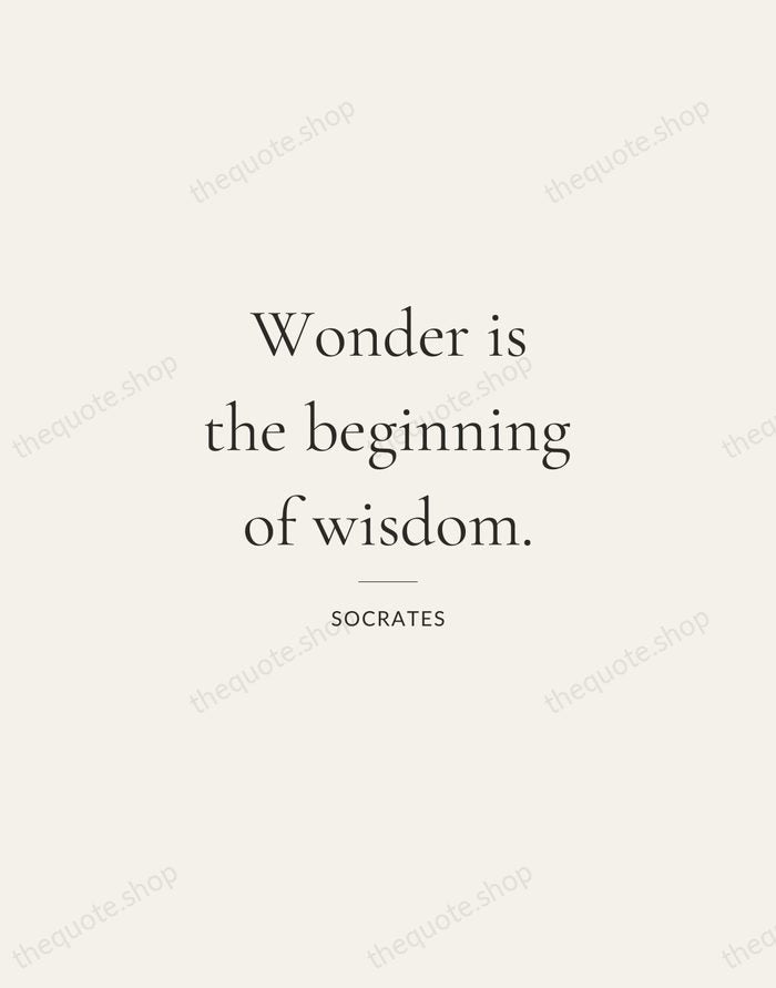 Wonder is the beginning of wisdom. — Socrates — Gallery Rule