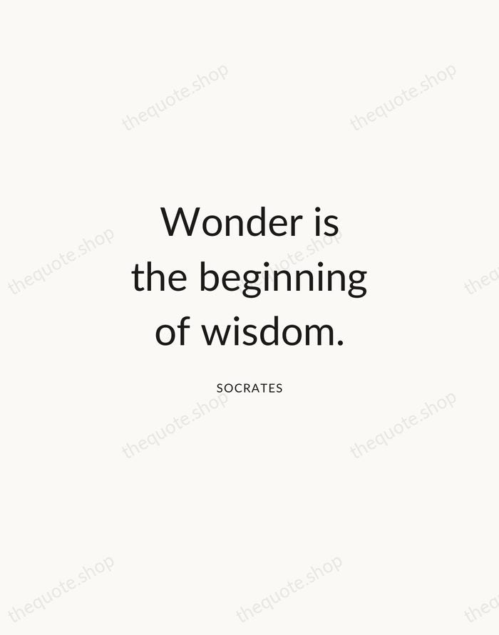 Wonder is the beginning of wisdom. — Socrates — Modern Sans Calm