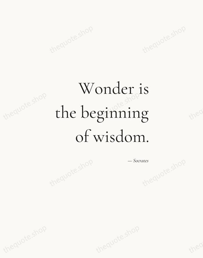 Wonder is the beginning of wisdom. — Socrates — Soft Serif Right