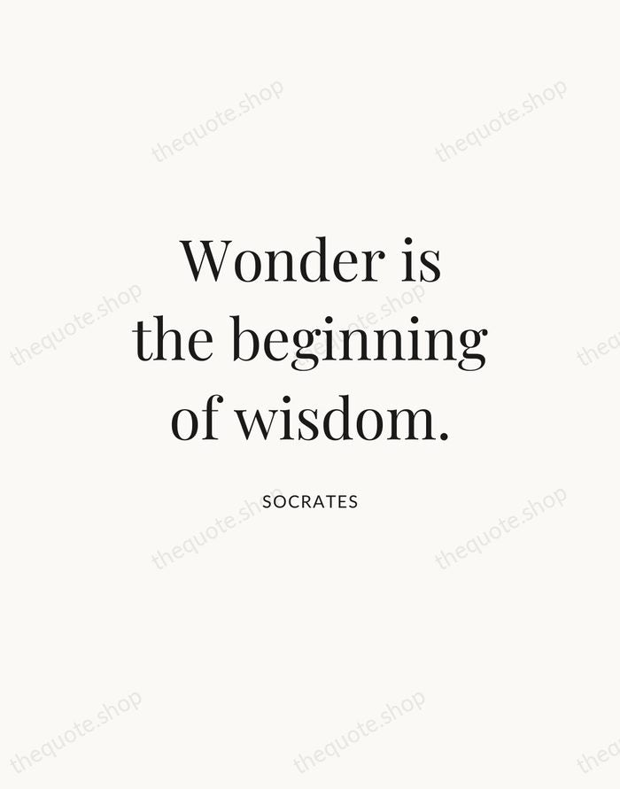 Wonder is the beginning of wisdom. — Socrates — Statement Serif