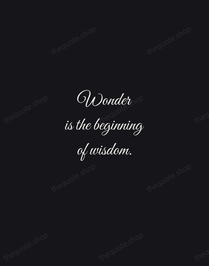 Wonder is the beginning of wisdom. — Socrates — Night Script