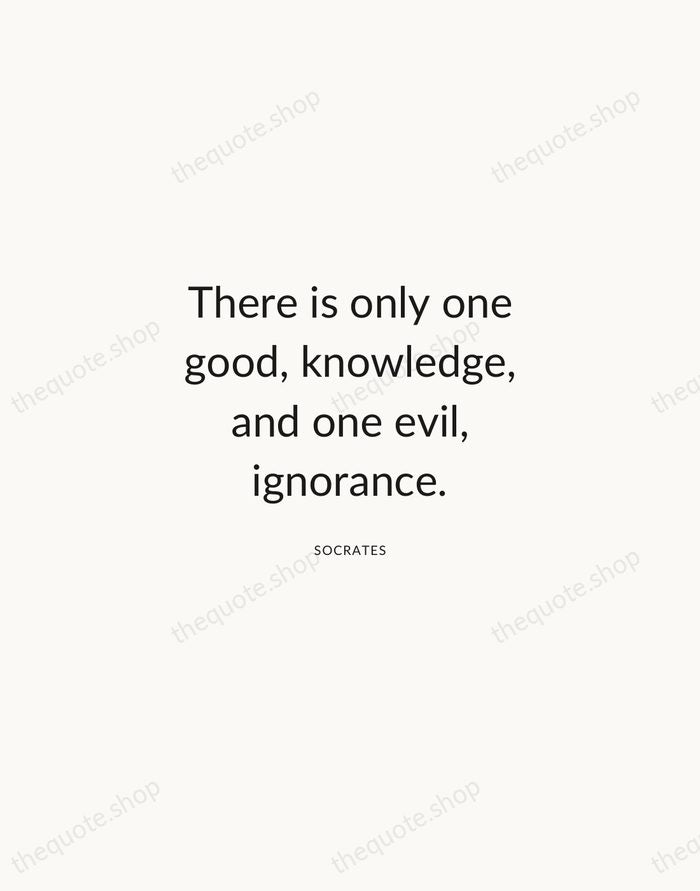 There is only one good, knowledge, and one evil, ignorance. — Socrates — Modern Sans Calm