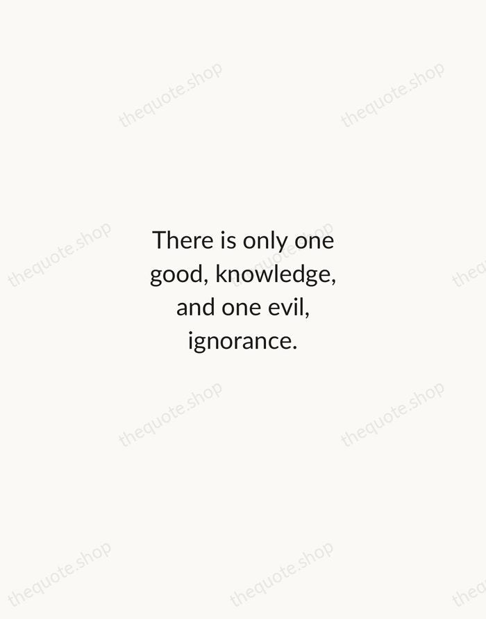 There is only one good, knowledge, and one evil, ignorance. — Socrates — Minimal Unsigned