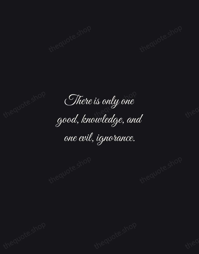 There is only one good, knowledge, and one evil, ignorance. — Socrates — Night Script