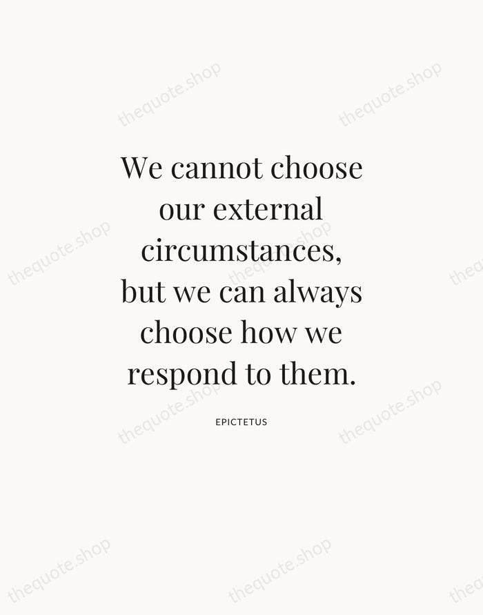We cannot choose our external circumstances, but we can always choose how… — Epictetus — Statement Serif