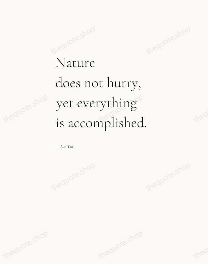 Nature does not hurry, yet everything is accomplished. — Lao Tzu — Editorial Left Serif