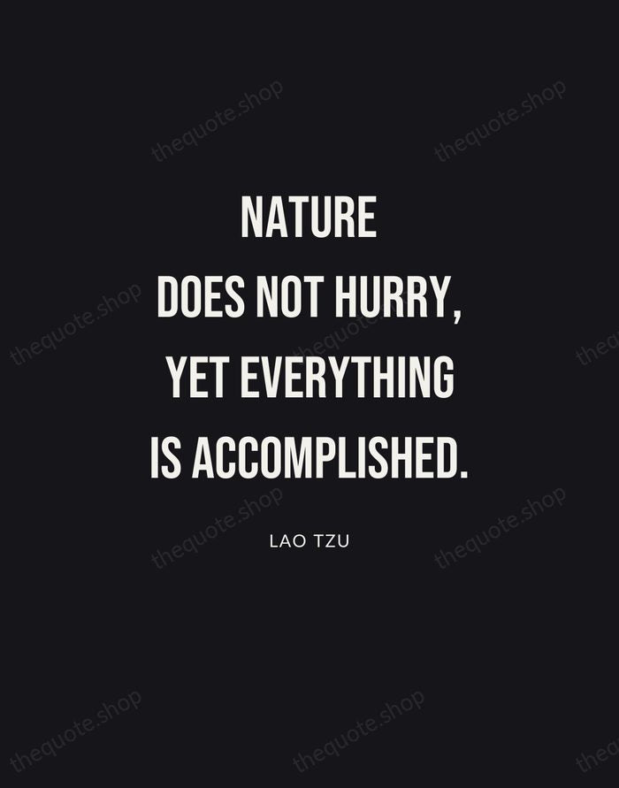 Nature does not hurry, yet everything is accomplished. — Lao Tzu | Printable Wall Art — Poster Condensed