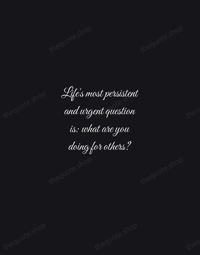 Life's most persistent and urgent question is: what are you doing for… — Martin Luther King Jr. — Night Script
