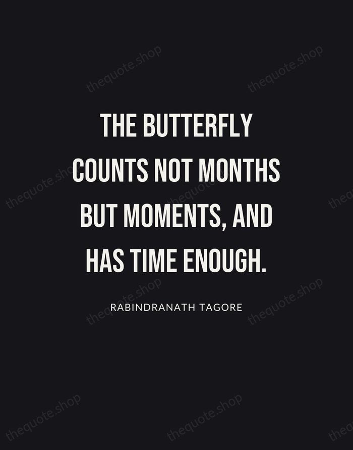 The butterfly counts not months but moments, and has time enough. — Rabindranath Tagore | Printable Wall Art — Poster Condensed