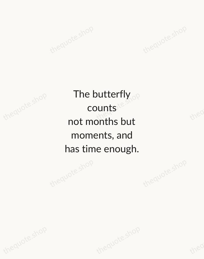 The butterfly counts not months but moments, and has time enough. — Rabindranath Tagore — Minimal Unsigned