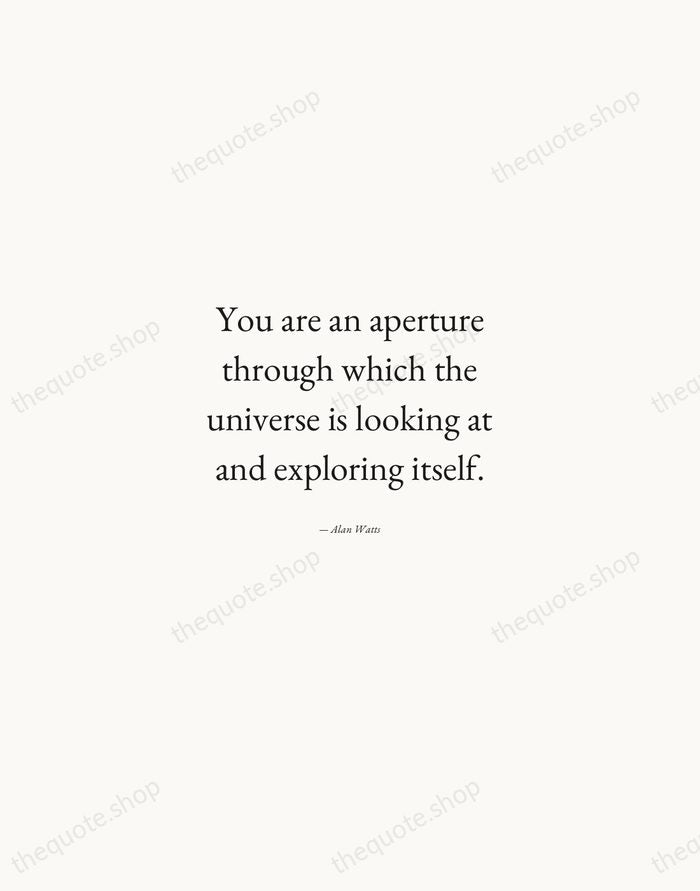 You are an aperture through which the universe is looking at and… — Alan Watts — Quiet Garamond