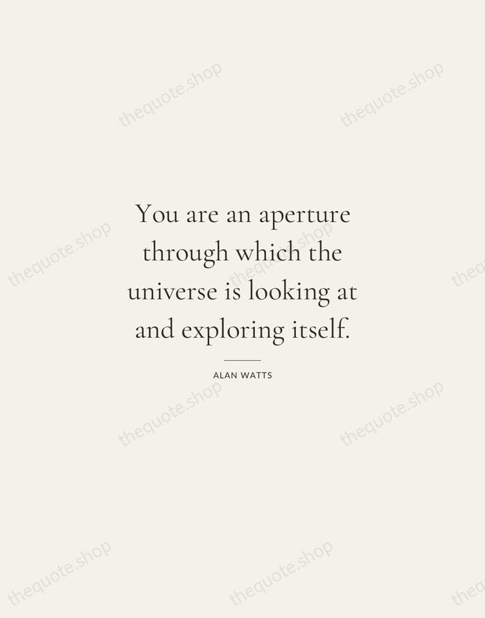 You are an aperture through which the universe is looking at and… — Alan Watts — Gallery Rule