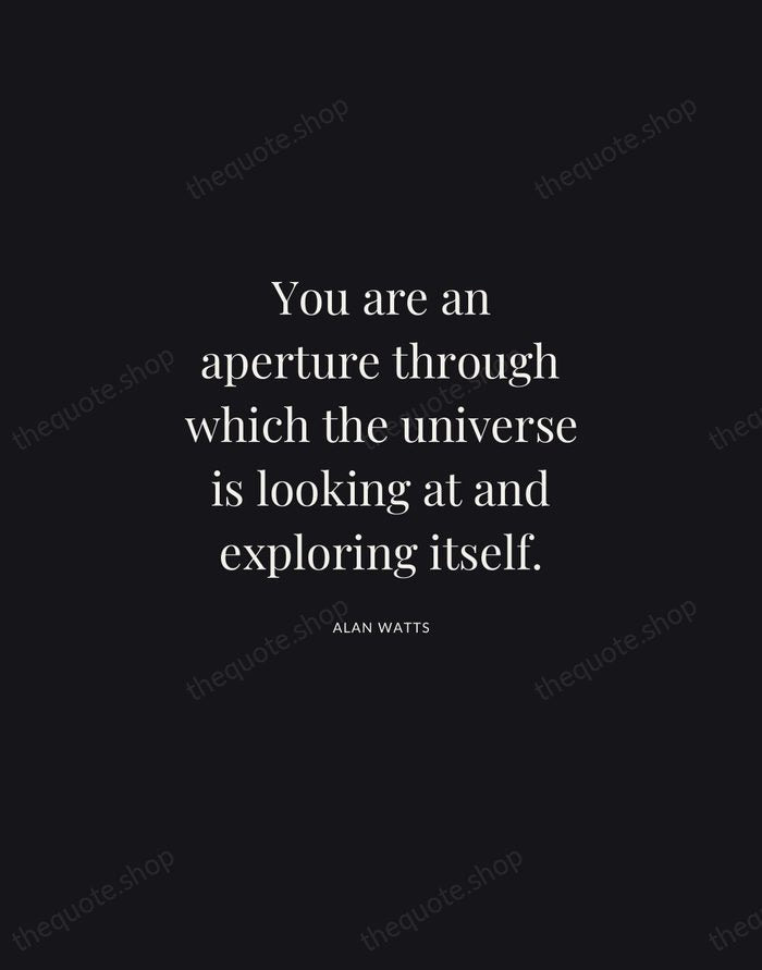 You are an aperture through which the universe is looking at and… — Alan Watts | Printable Wall Art — Midnight Serif