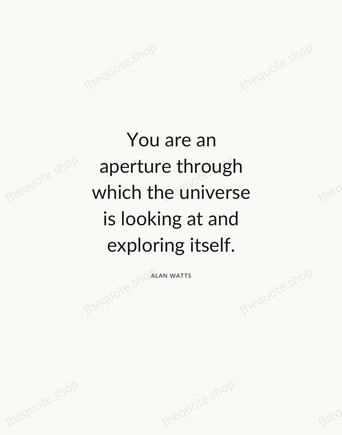 You are an aperture through which the universe is looking at and… — Alan Watts — Modern Sans Calm
