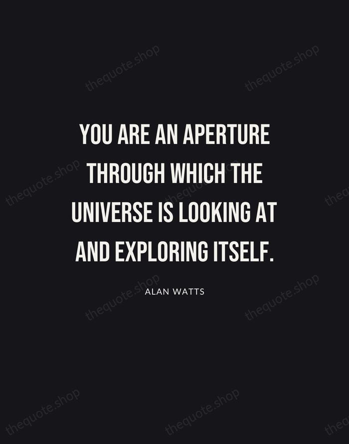 You are an aperture through which the universe is looking at and… — Alan Watts | Printable Wall Art — Poster Condensed