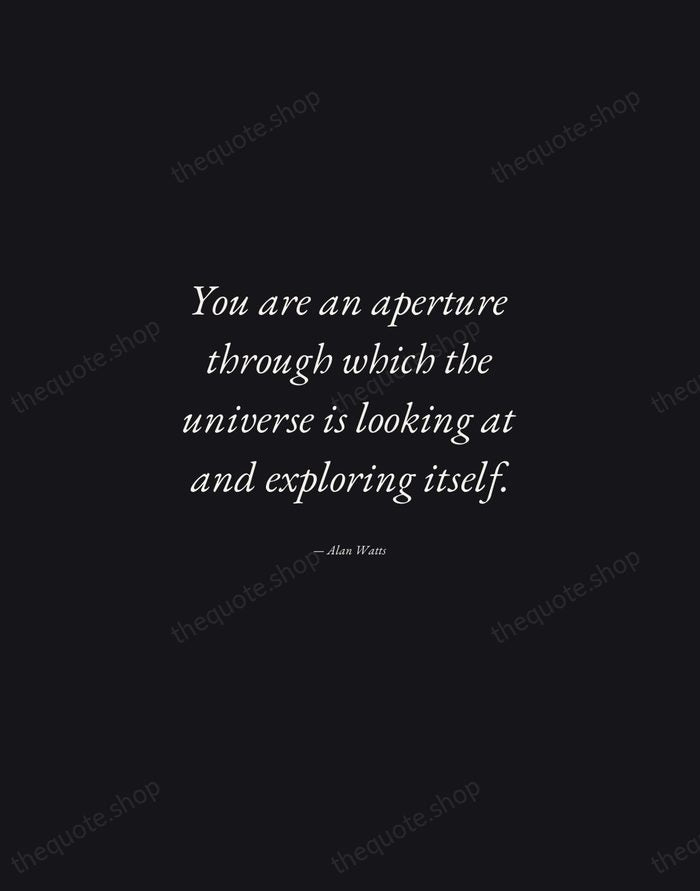 You are an aperture through which the universe is looking at and… — Alan Watts — Manuscript Italic