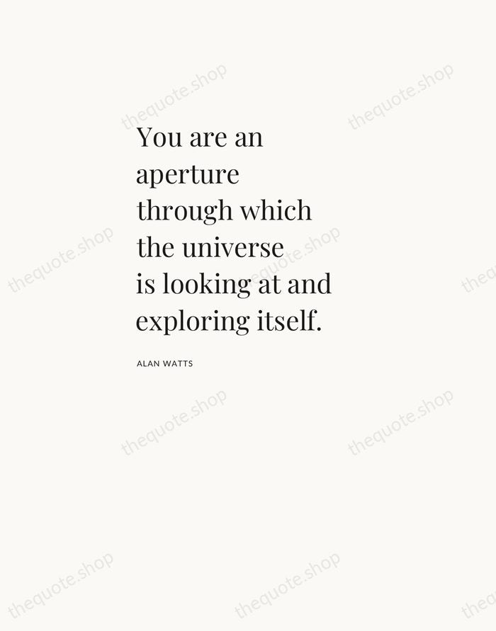 You are an aperture through which the universe is looking at and… — Alan Watts — Asymmetric Left
