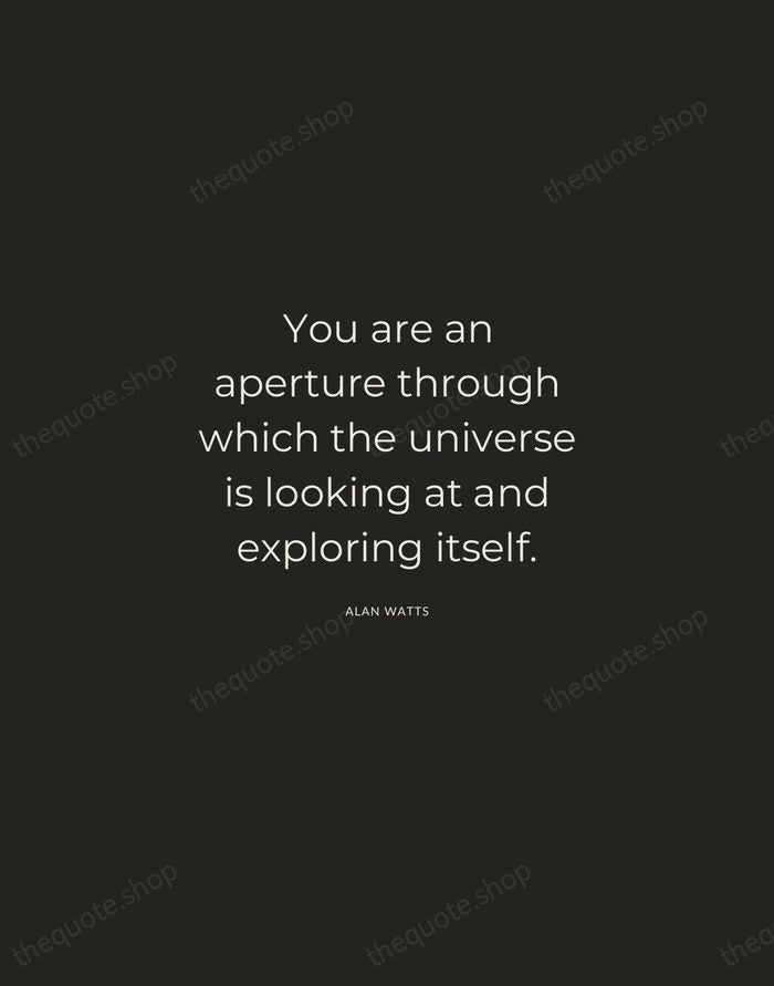 You are an aperture through which the universe is looking at and… — Alan Watts — Charcoal Sans