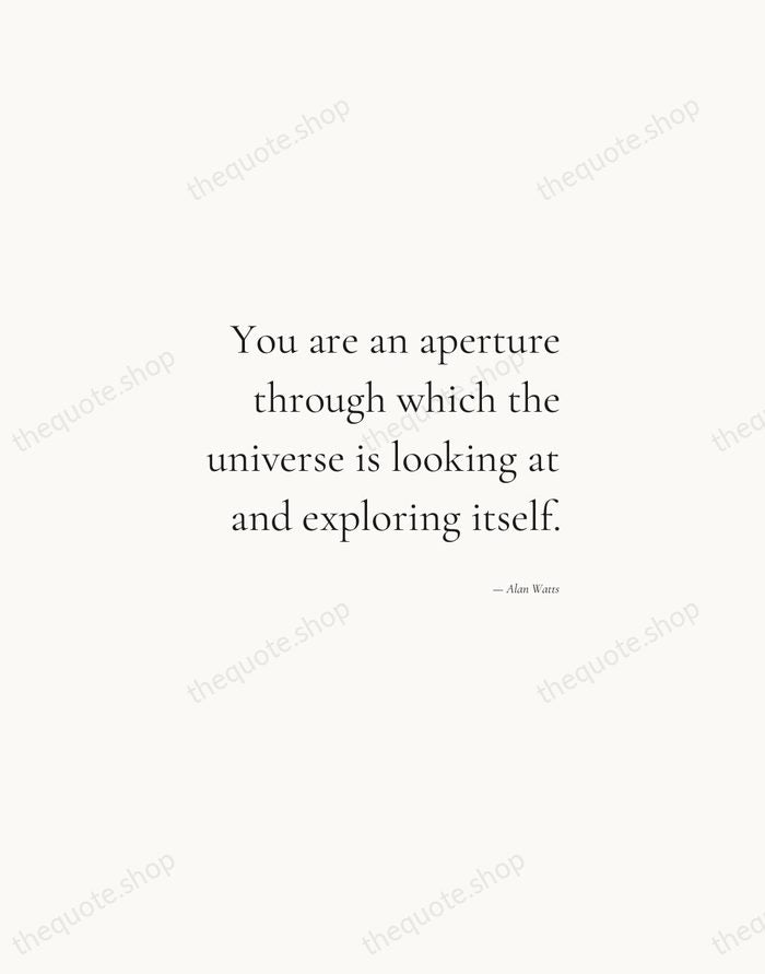 You are an aperture through which the universe is looking at and… — Alan Watts — Soft Serif Right