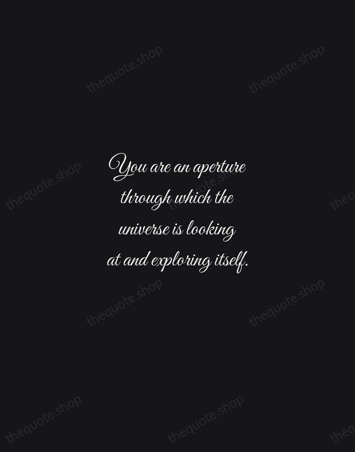 You are an aperture through which the universe is looking at and… — Alan Watts — Night Script