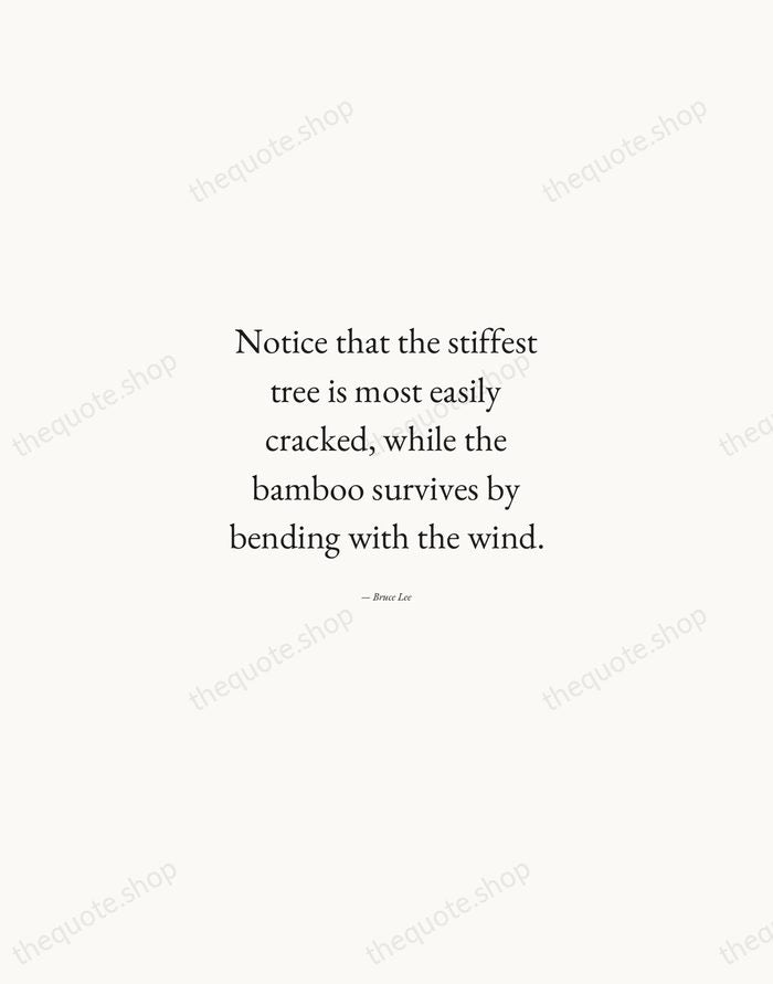 Notice that the stiffest tree is most easily cracked, while the bamboo… — Bruce Lee — Quiet Garamond
