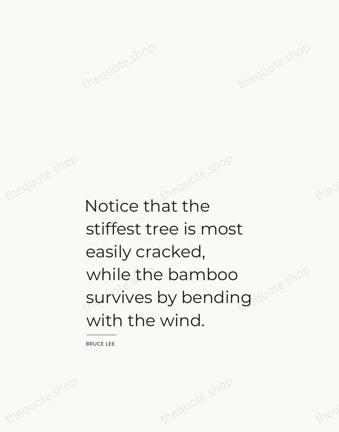 Notice that the stiffest tree is most easily cracked, while the bamboo… — Bruce Lee — Studio Left