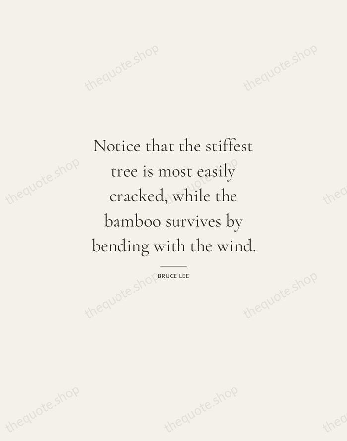 Notice that the stiffest tree is most easily cracked, while the bamboo… — Bruce Lee — Gallery Rule
