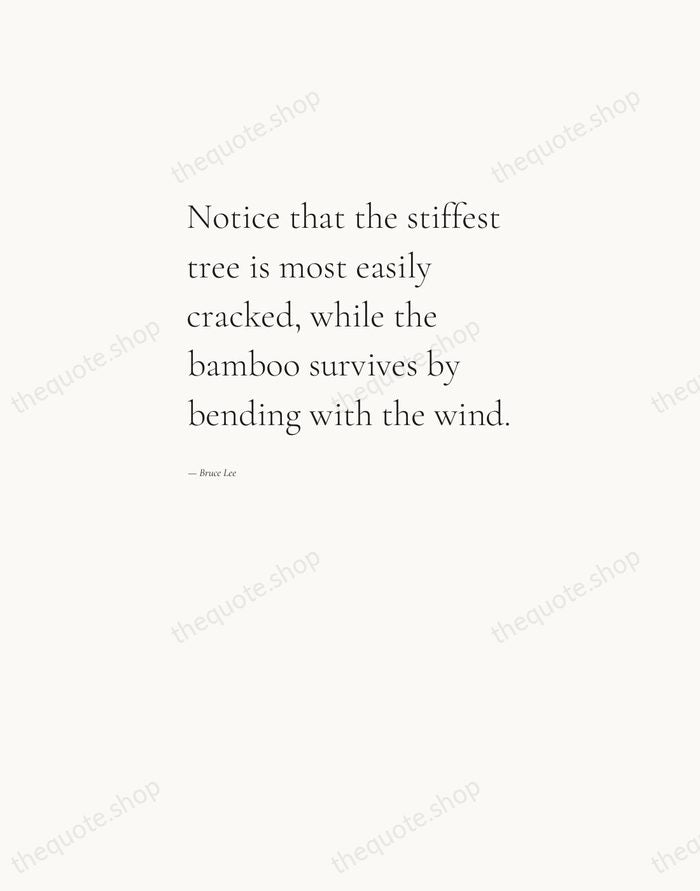 Notice that the stiffest tree is most easily cracked, while the bamboo… — Bruce Lee — Editorial Left Serif