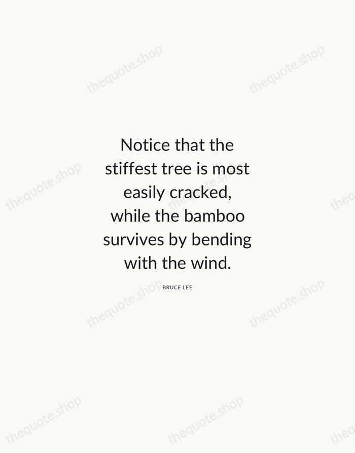 Notice that the stiffest tree is most easily cracked, while the bamboo… — Bruce Lee — Modern Sans Calm