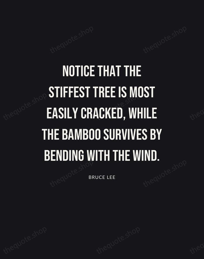 Notice that the stiffest tree is most easily cracked, while the bamboo… — Bruce Lee | Printable Wall Art — Poster Condensed