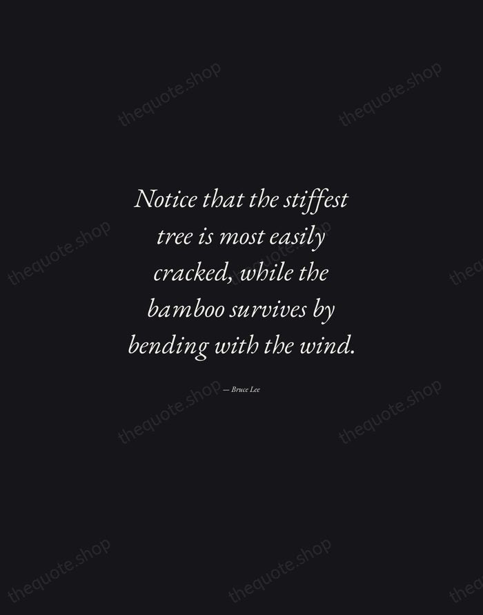 Notice that the stiffest tree is most easily cracked, while the bamboo… — Bruce Lee — Manuscript Italic