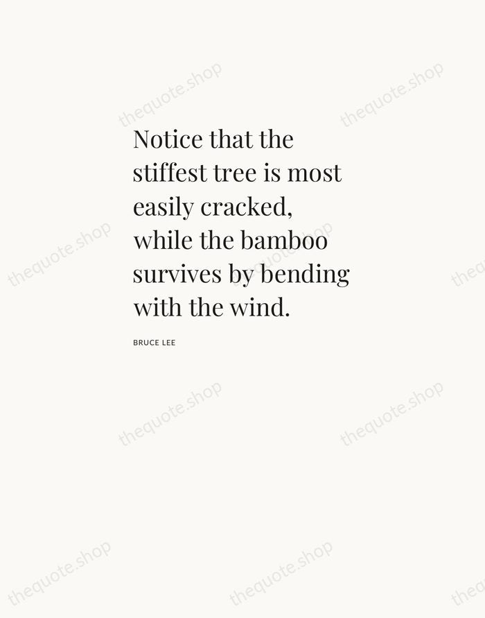 Notice that the stiffest tree is most easily cracked, while the bamboo… — Bruce Lee — Asymmetric Left
