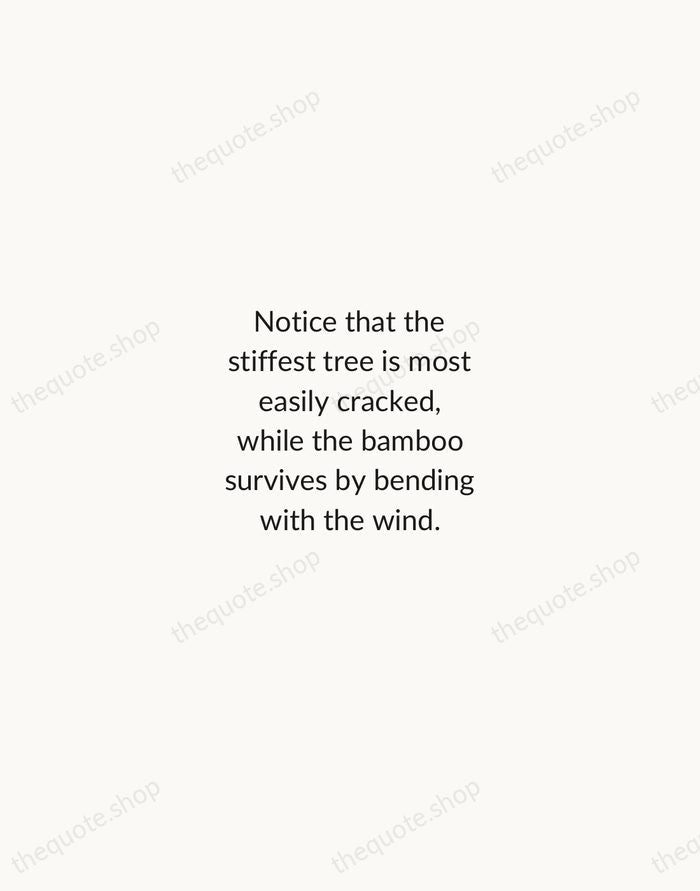 Notice that the stiffest tree is most easily cracked, while the bamboo… — Bruce Lee — Minimal Unsigned