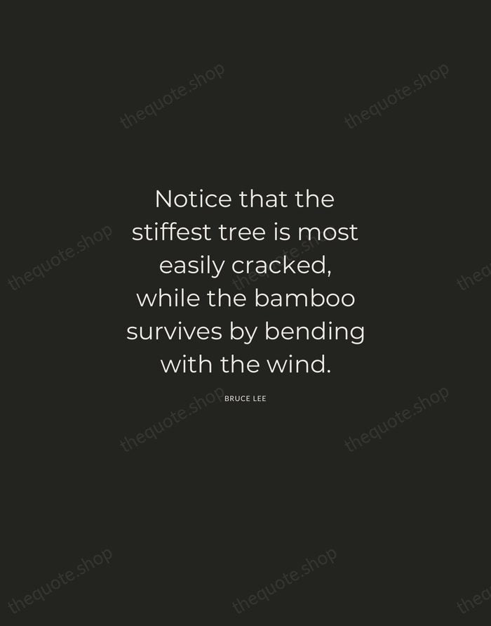 Notice that the stiffest tree is most easily cracked, while the bamboo… — Bruce Lee — Charcoal Sans