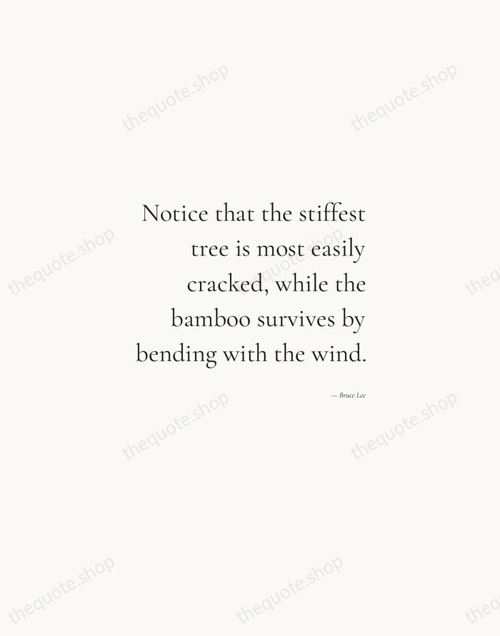 Notice that the stiffest tree is most easily cracked, while the bamboo… — Bruce Lee — Soft Serif Right