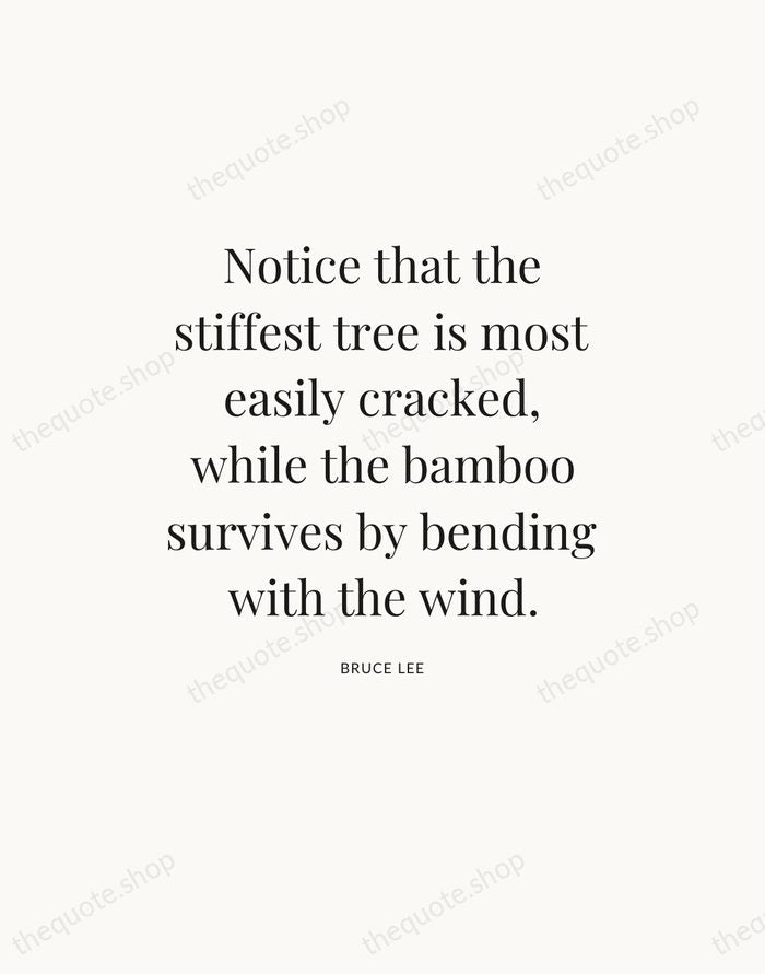 Notice that the stiffest tree is most easily cracked, while the bamboo… — Bruce Lee — Statement Serif