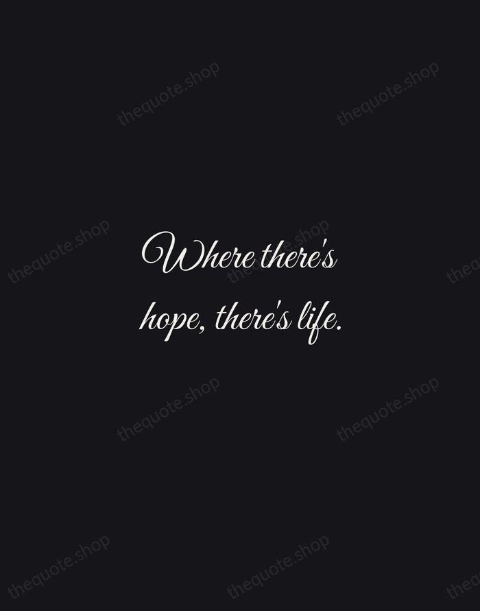 Where there's hope, there's life. — Anne Frank — Night Script