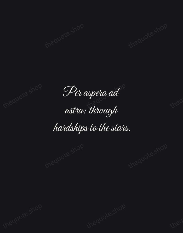 Per aspera ad astra: through hardships to the stars. — Latin Proverb — Night Script