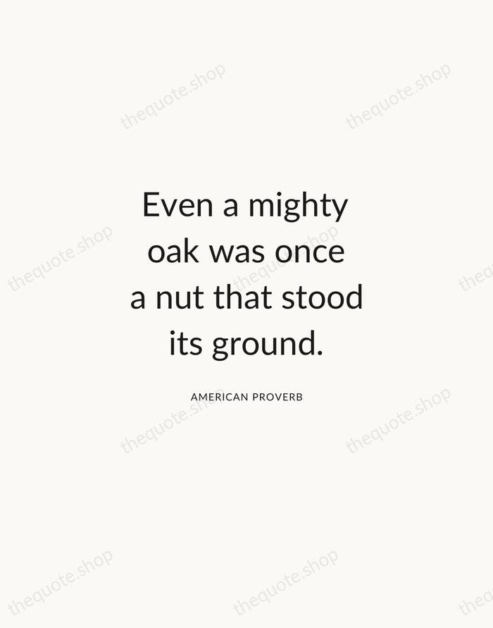 Even a mighty oak was once a nut that stood its ground. — American Proverb — Modern Sans Calm