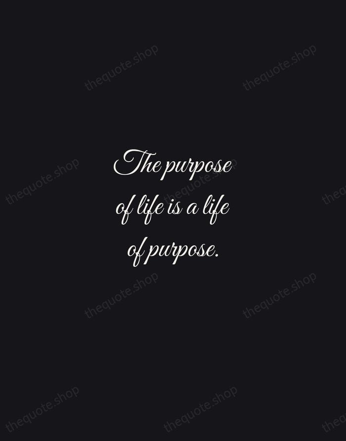 The purpose of life is a life of purpose. — Robert Byrne — Night Script
