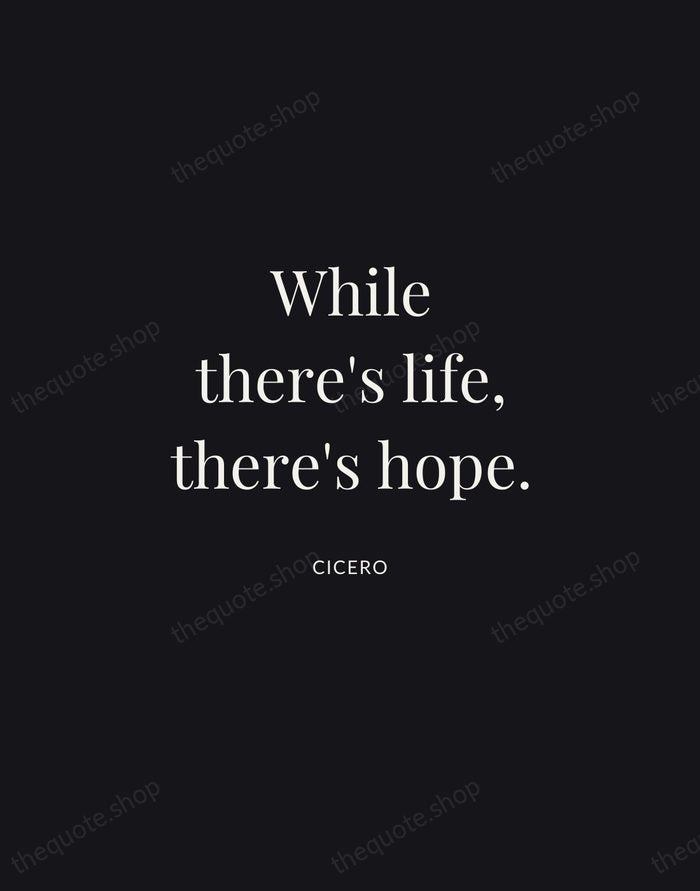 While there's life, there's hope. — Cicero | Printable Wall Art — Midnight Serif
