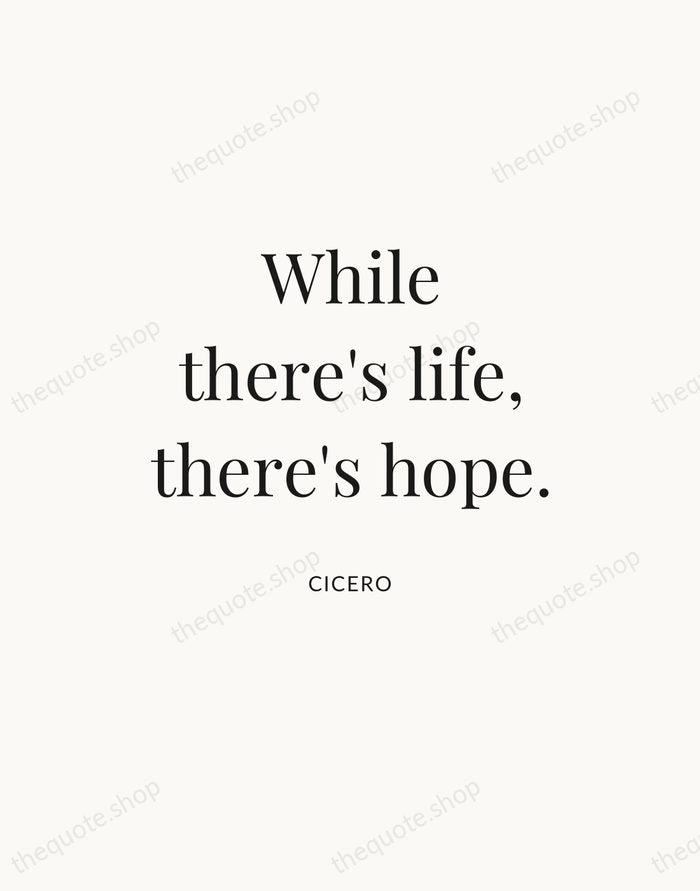 While there's life, there's hope. — Cicero — Statement Serif