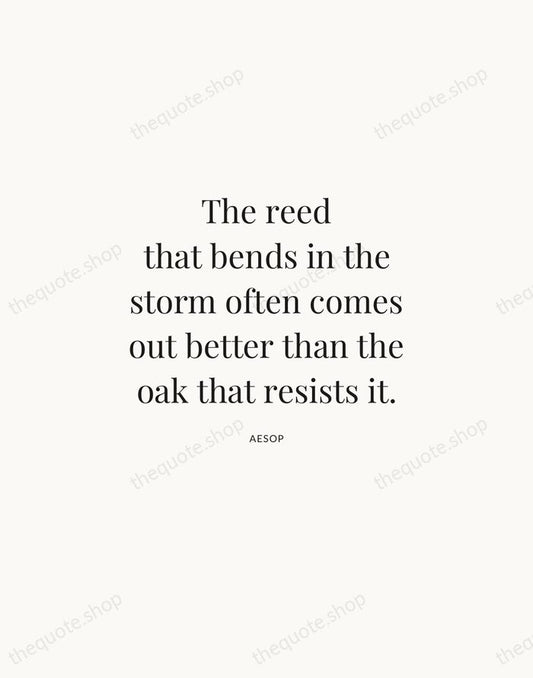 The reed that bends in the storm often comes out better than… — Aesop | Printable Wall Art — Atelier Serif