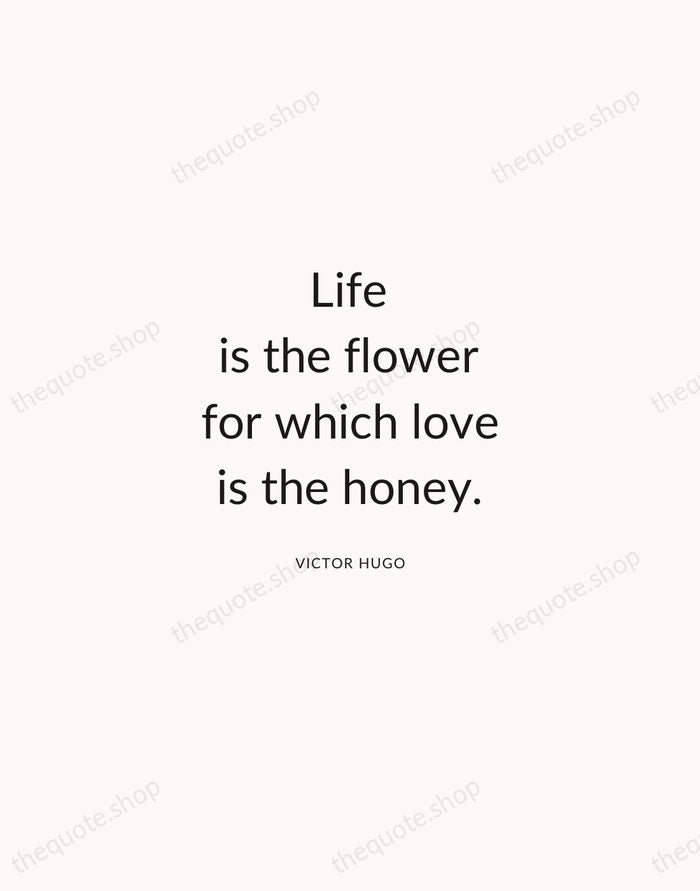 Life is the flower for which love is the honey. — Victor Hugo — Modern Sans Calm