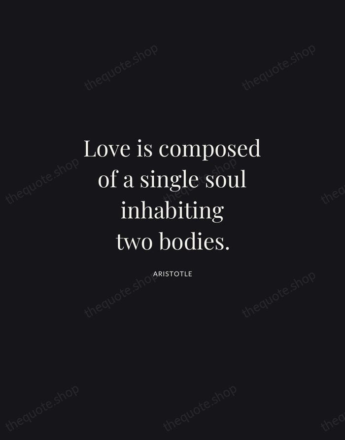 Love is composed of a single soul inhabiting two bodies. — Aristotle | Printable Wall Art — Midnight Serif