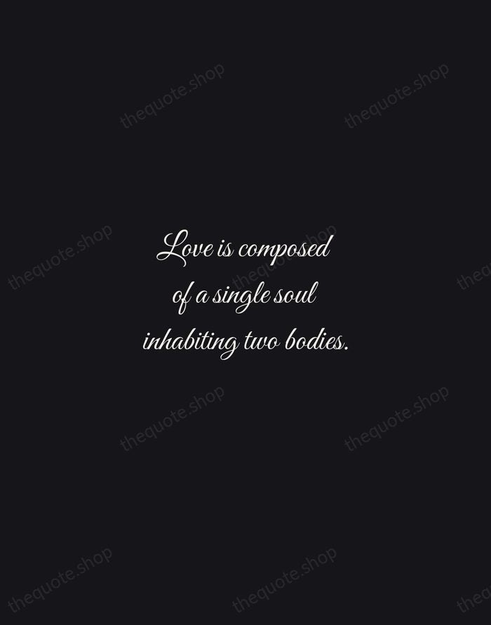 Love is composed of a single soul inhabiting two bodies. — Aristotle — Night Script