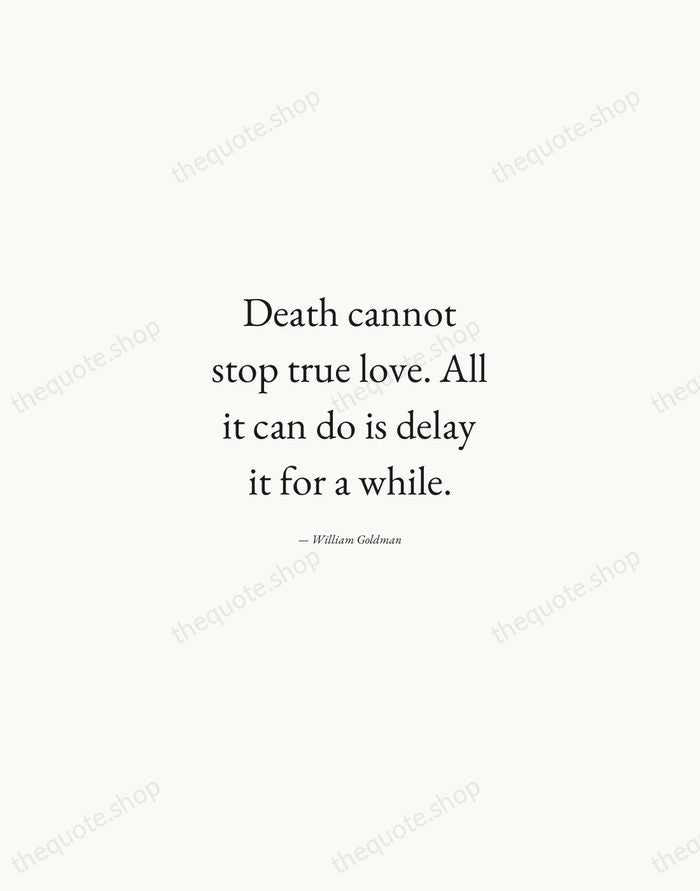 Death cannot stop true love. All it can do is delay it… — William Goldman — Quiet Garamond